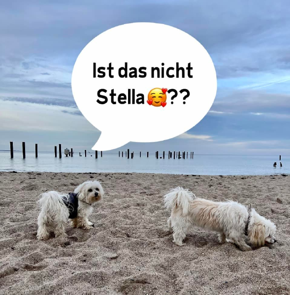 Bild zu Eintrag 
