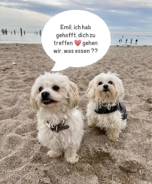 Bild zu Eintrag 