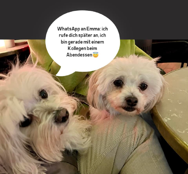 Bild zu Eintrag 