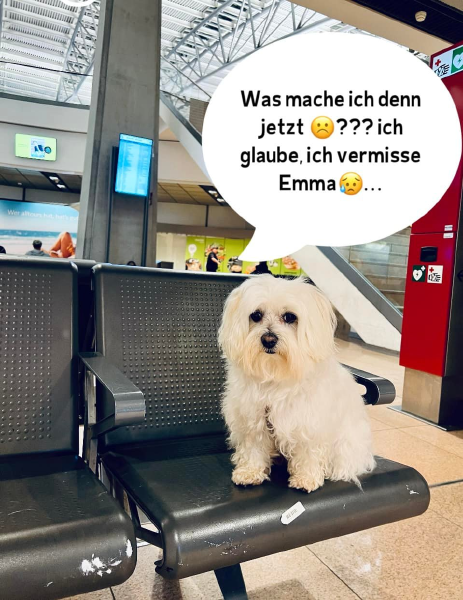 Bild zu Eintrag 