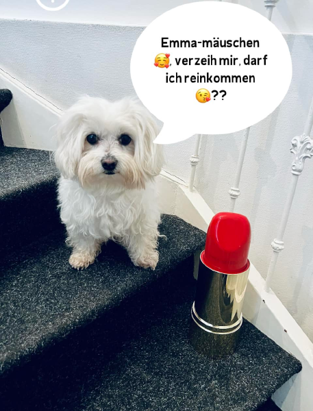 Bild zu Eintrag 