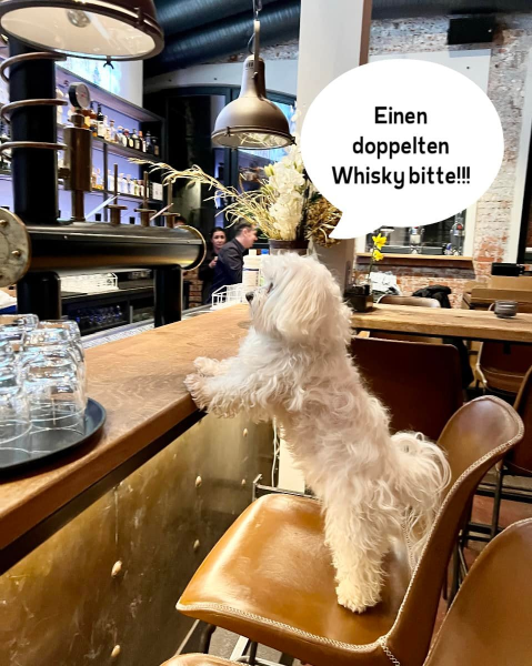 Bild zu Eintrag 