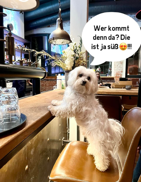 Bild zu Eintrag 