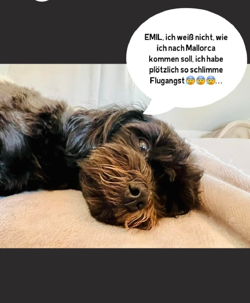 Bild zu Eintrag 