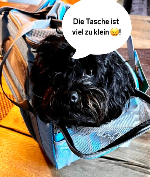 Bild zu Eintrag 