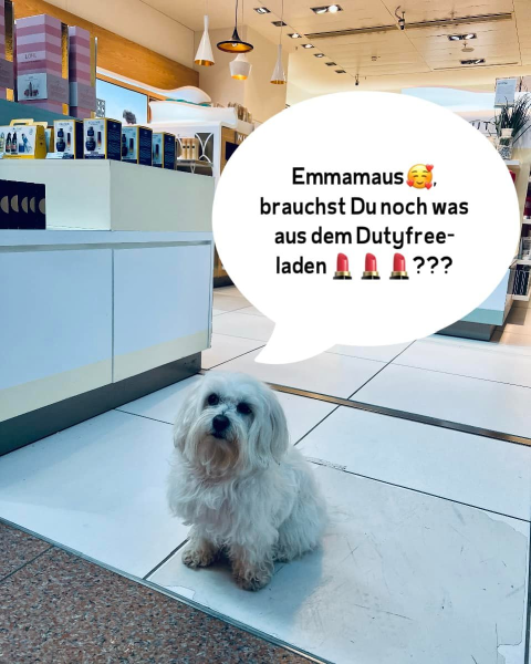 Bild zu Eintrag 