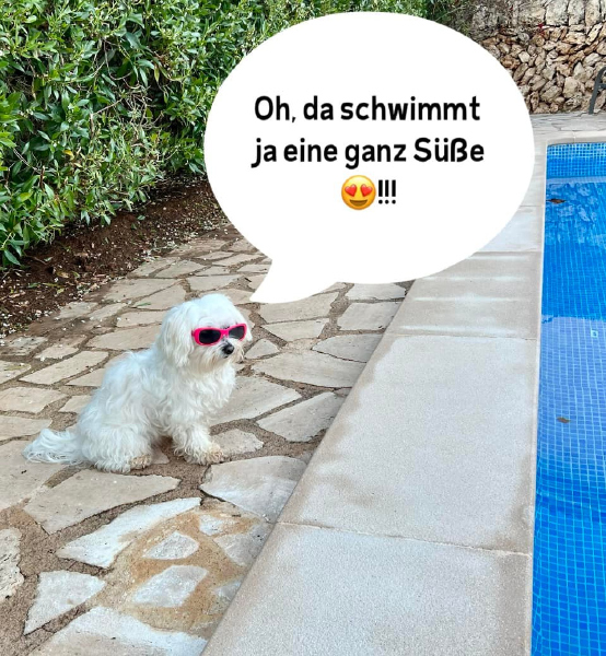 Bild zu Eintrag 