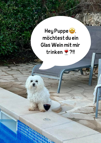 Bild zu Eintrag 