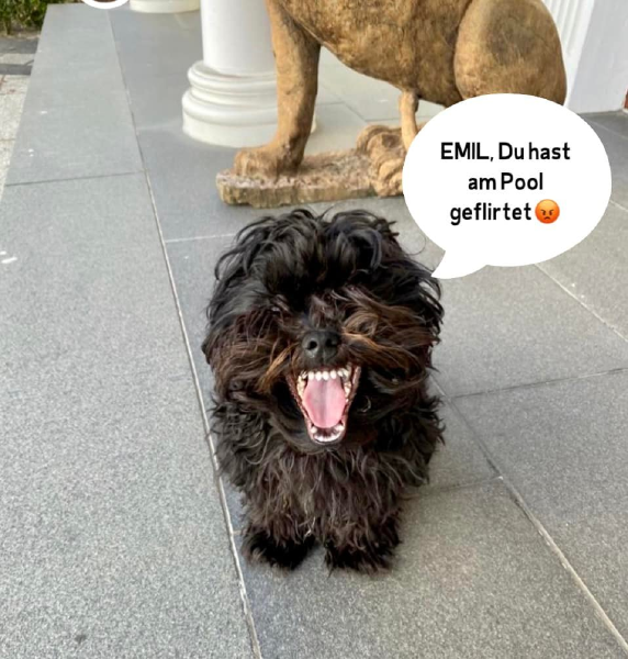 Bild zu Eintrag 
