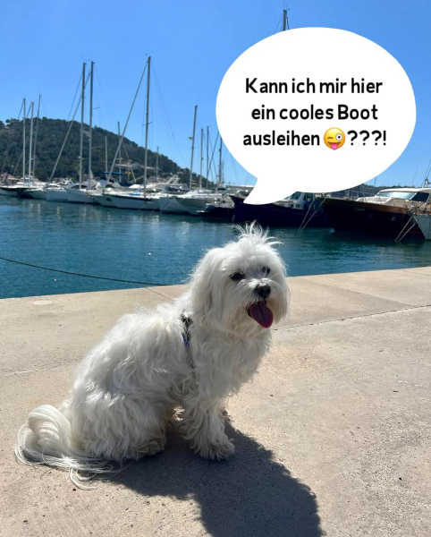 Bild zu Eintrag 
