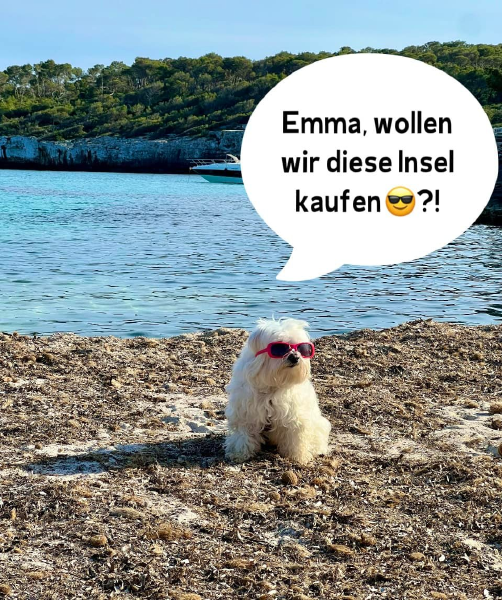 Bild zu Eintrag 