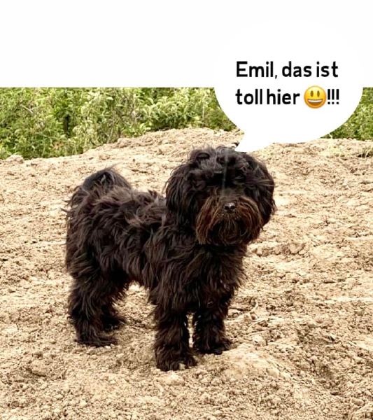 Bild zu Eintrag 