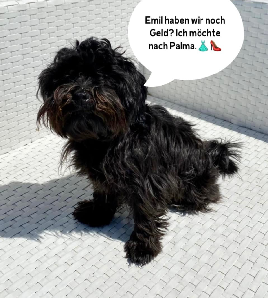 Bild zu Eintrag 