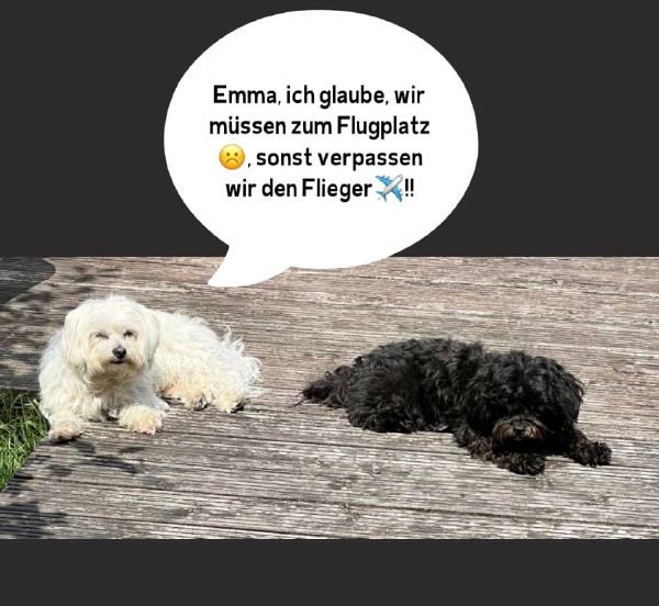 Bild zu Eintrag 