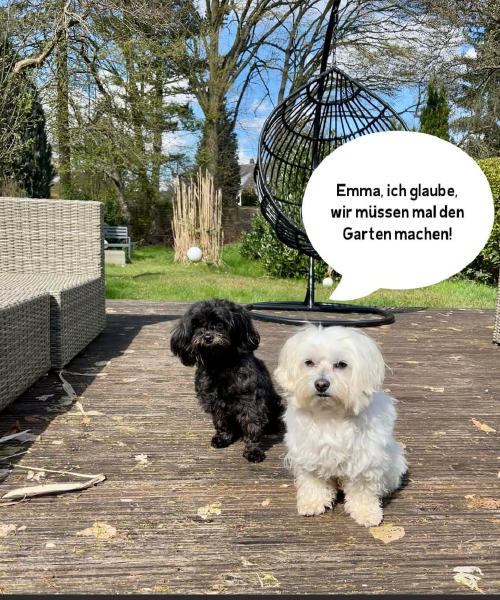 Bild zu Eintrag 