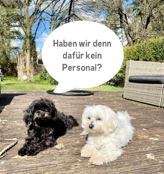 Bild zu Eintrag 