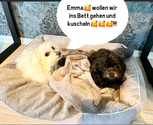 Bild zu Eintrag 