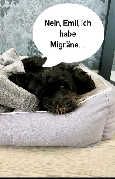 Bild zu Eintrag 