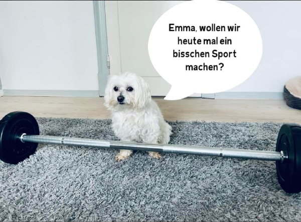 Bild zu Eintrag 