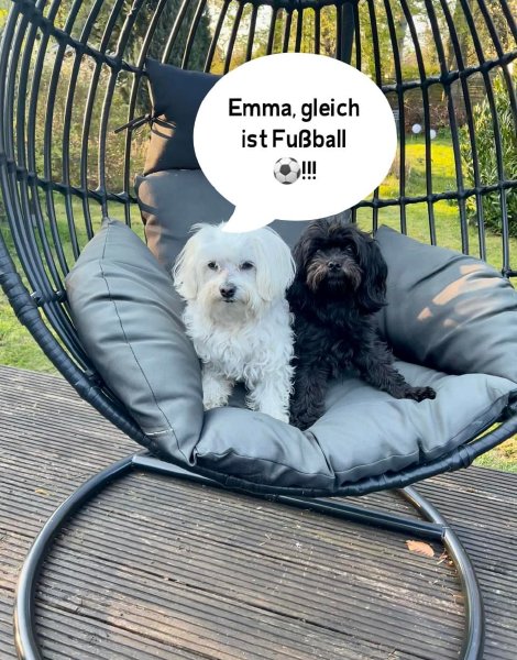 Bild zu Eintrag 
