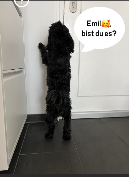 Bild zu Eintrag 