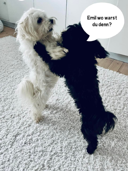 Bild zu Eintrag 