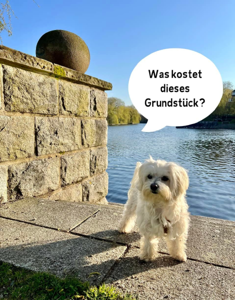 Bild zu Eintrag 