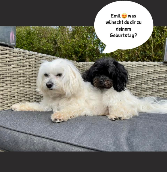 Bild zu Eintrag 