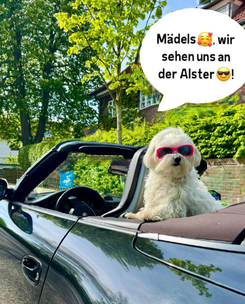 Bild zu Eintrag
