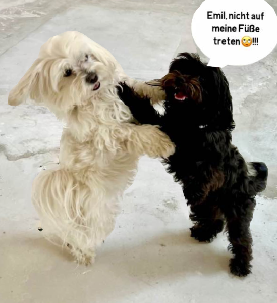 Bild zu Eintrag