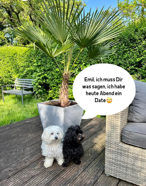Bild zu Eintrag 