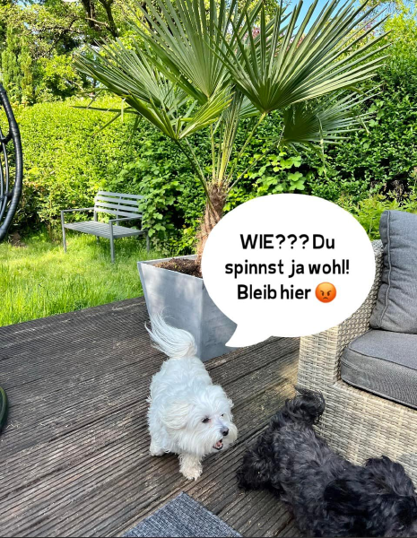 Bild zu Eintrag 