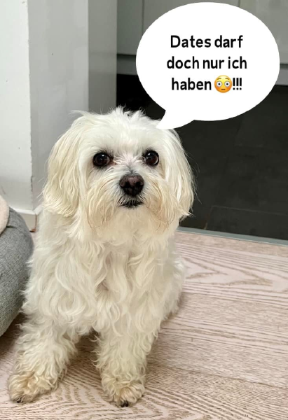 Bild zu Eintrag