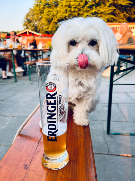 Bild zu Eintrag