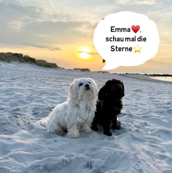 Bild zu Eintrag