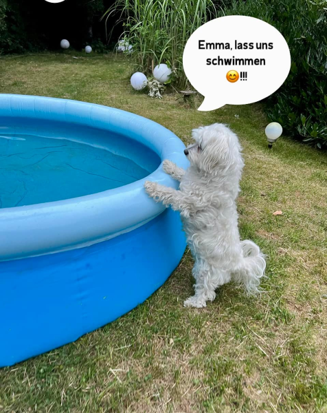 Bild zu Eintrag 