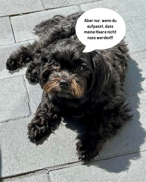 Bild zu Eintrag 