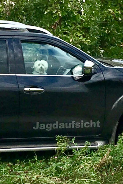 Bild zu Eintrag 