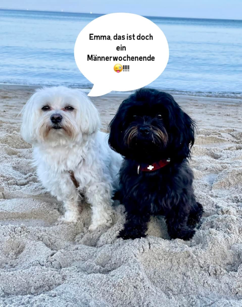 Bild zu Eintrag 