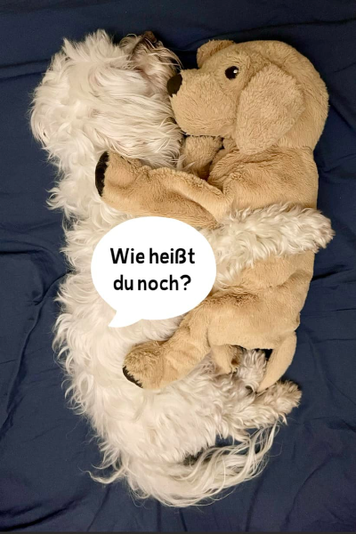 Bild zu Eintrag 