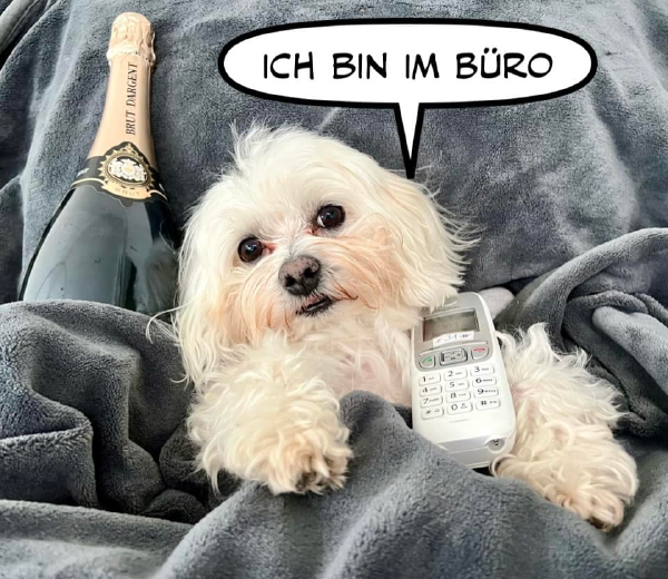 Bild zu Eintrag 