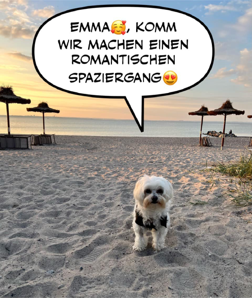 Bild zu Eintrag 