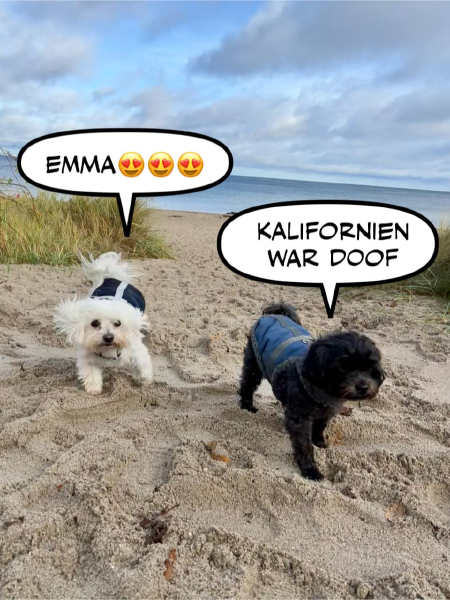 Bild zu Eintrag 