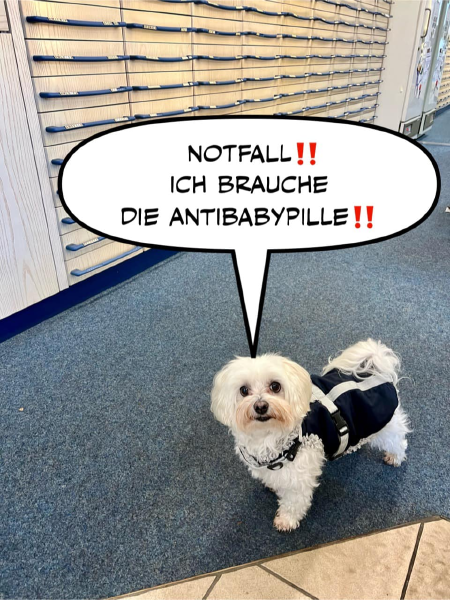 Bild zu Eintrag 