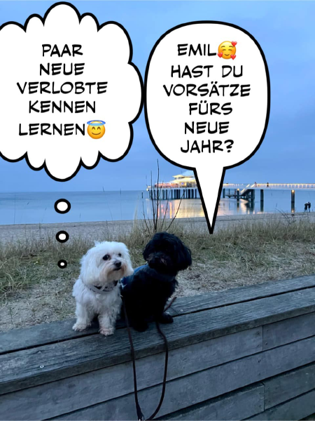 Bild zu Eintrag 