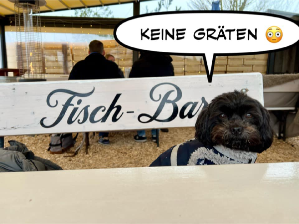 Bild zu Eintrag 