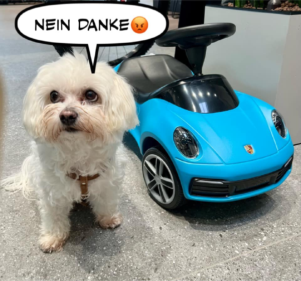 Bild zu Eintrag 