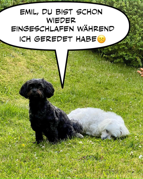 Bild zu Eintrag