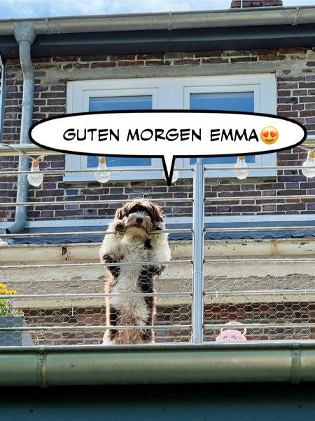 Bild zu Eintrag 