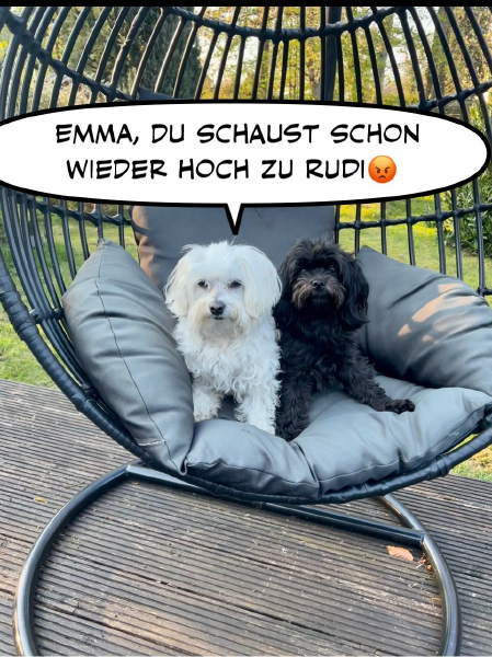 Bild zu Eintrag